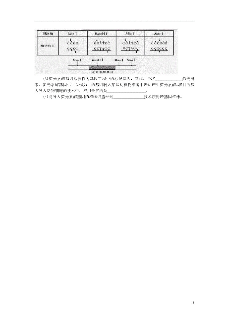 高三生物上学期第三次月考试题无答案_第5页