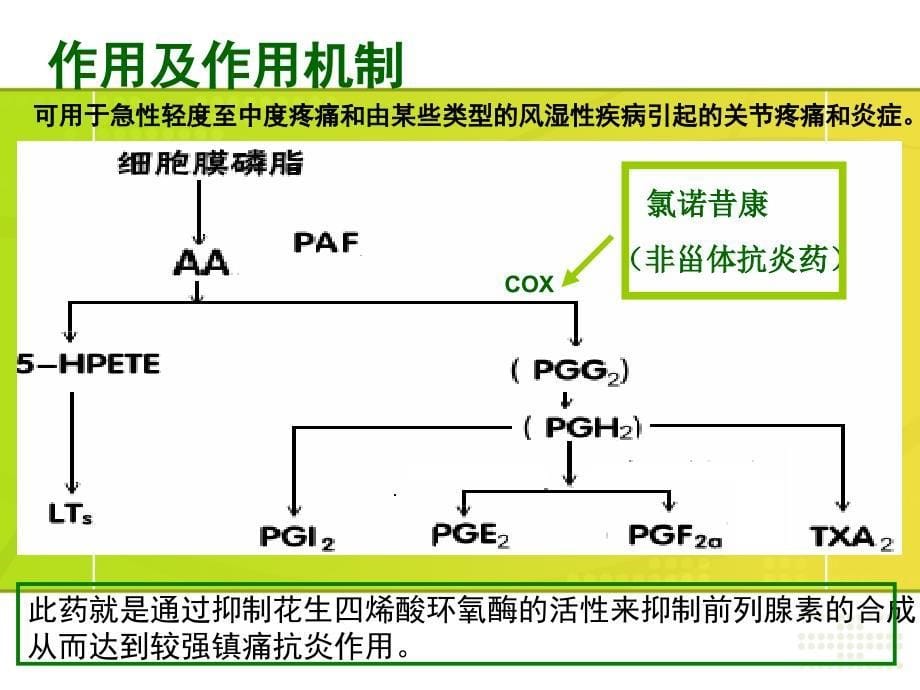 药化作业氯诺昔康140618_第5页