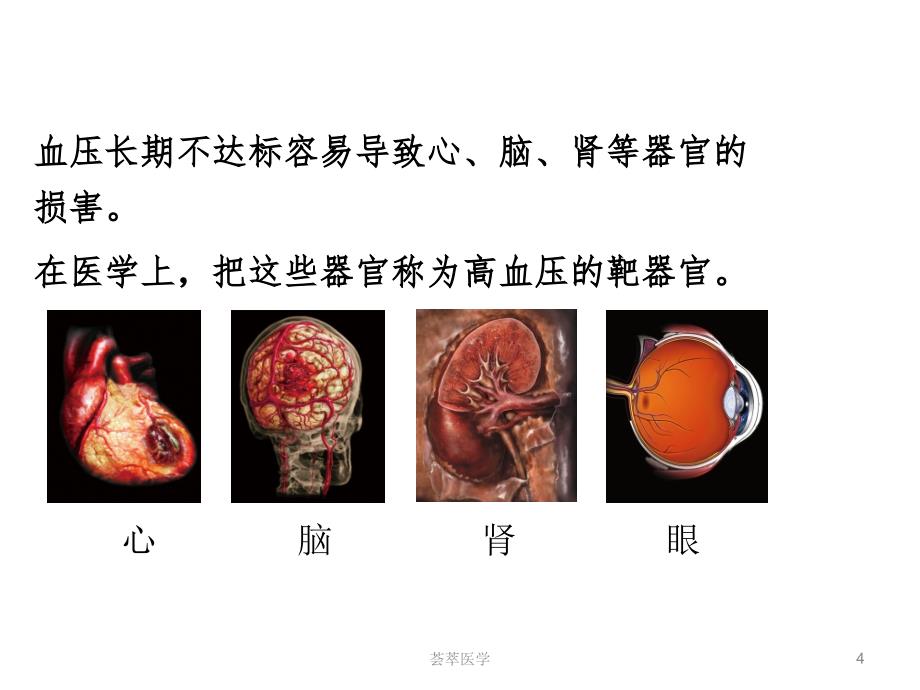 心脑血管疾病预防专业医疗_第4页