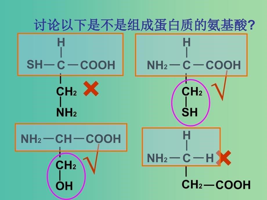 高中生物第二章组成细胞的分子2.2生命活动的主要承担者-蛋白质课件1新人教版.ppt_第5页