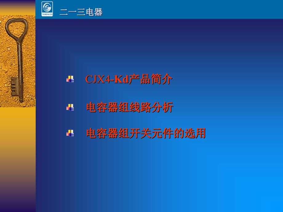 CJX4Kd切换电容器接触器产品知识介绍_第2页