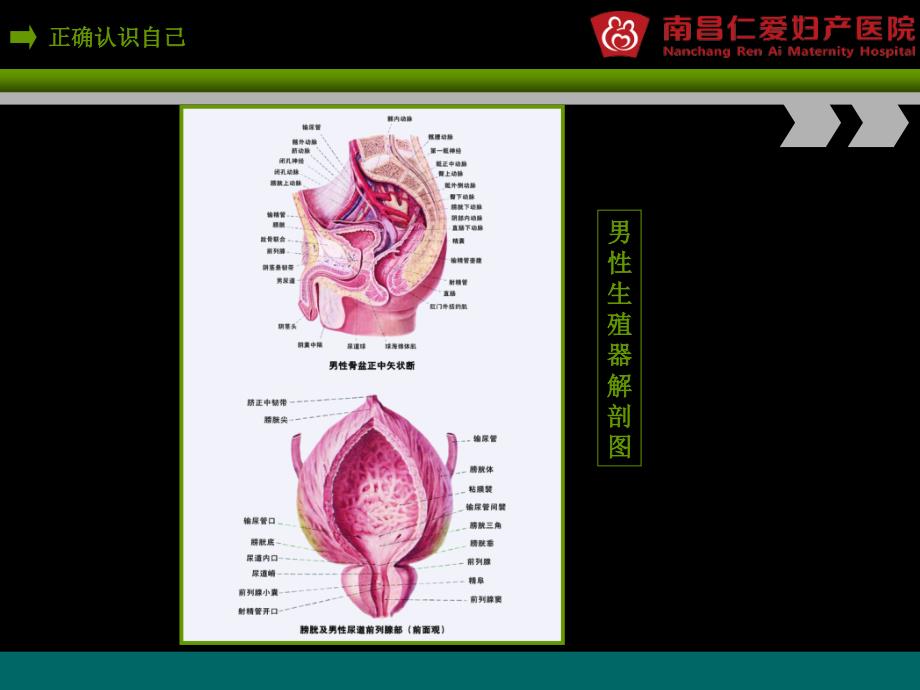 我青春,我健康高校讲座男生_第4页