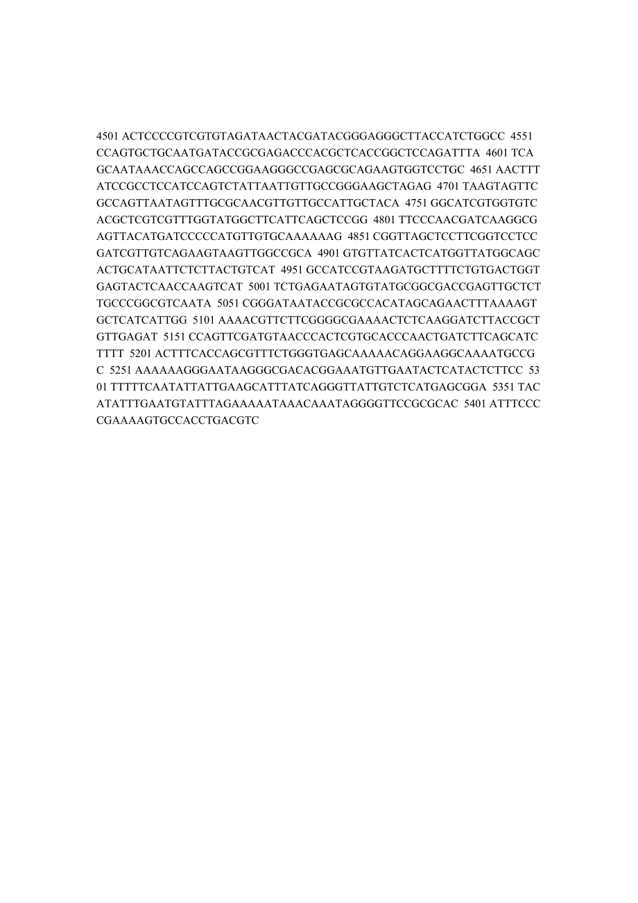 pcdna 3.1(+)图谱及序列_第4页