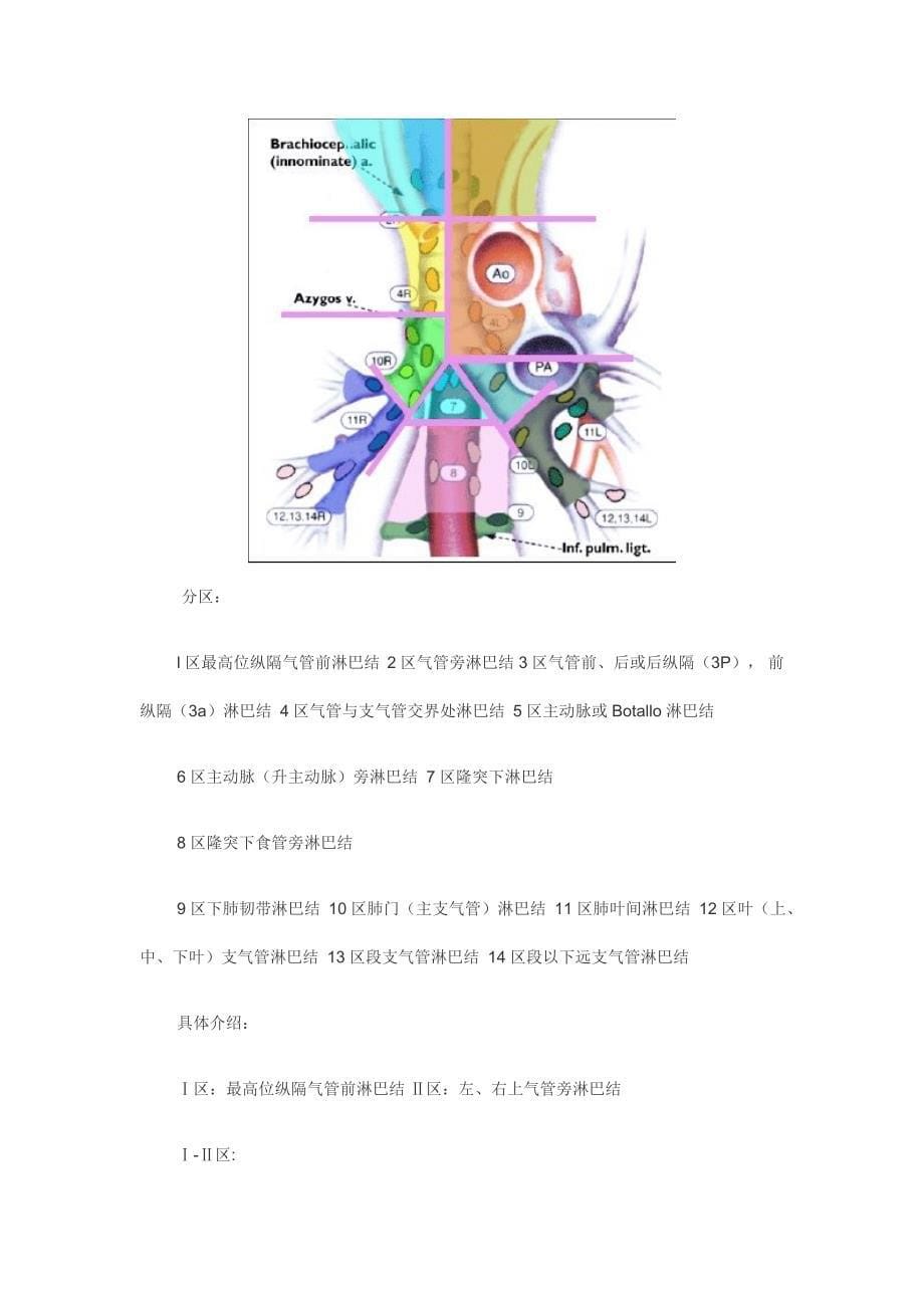 最新颈部淋巴结分区示意图_第5页