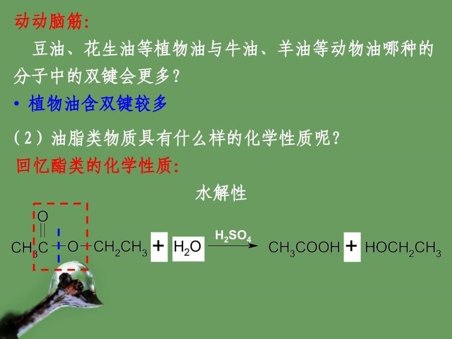 高中化学12重要的体内能源油脂课件新人教版选修1_第5页