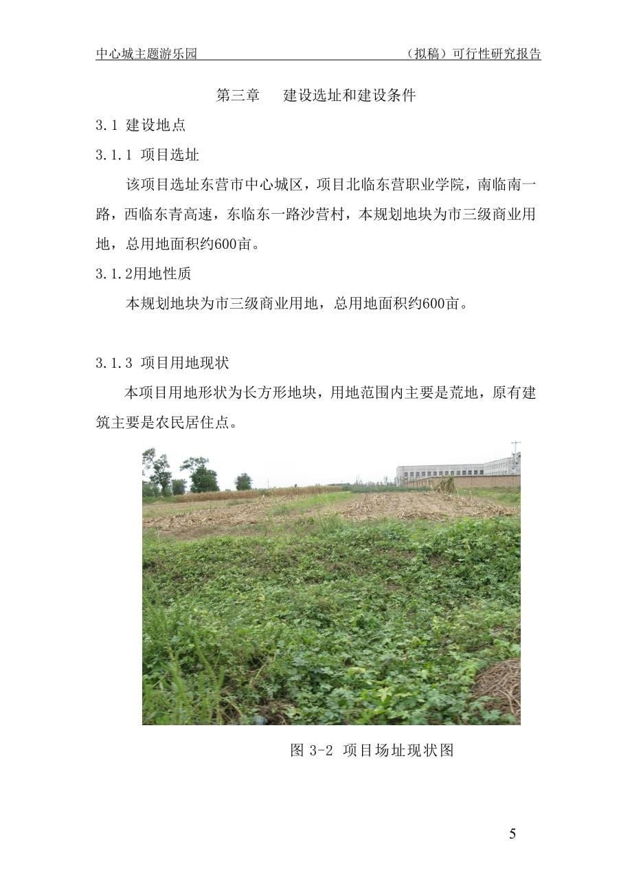 中心城主题公园项目可行性建议书.doc_第5页