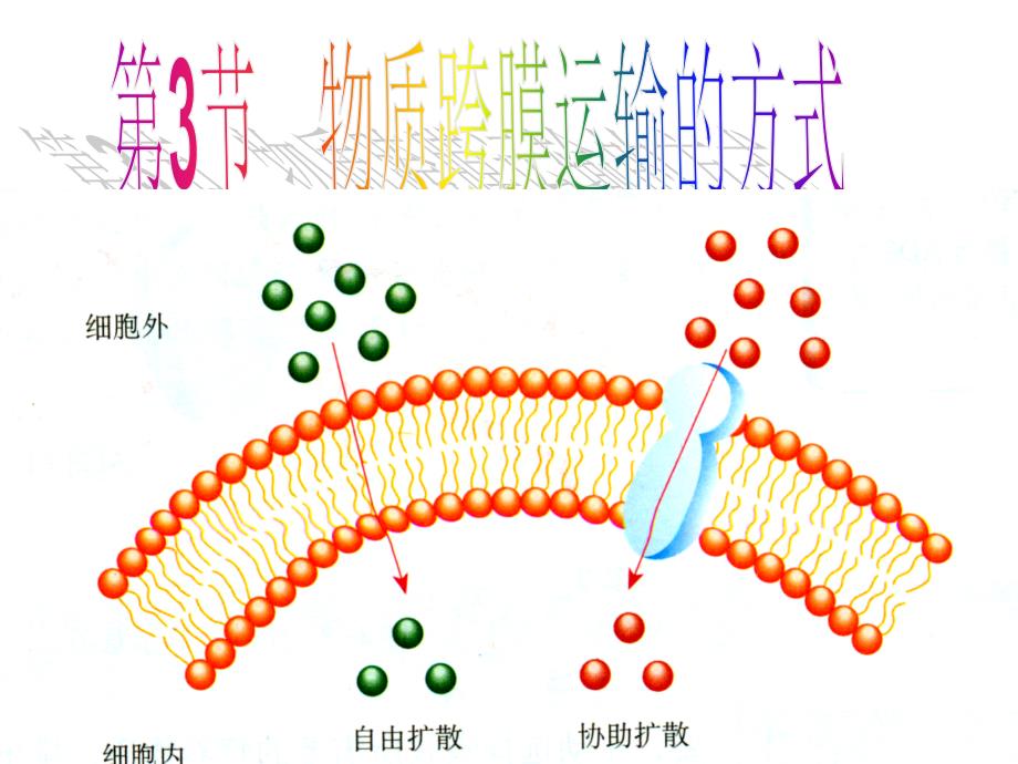 物质跨膜运输的方式ppt35人教课标版课件_第1页