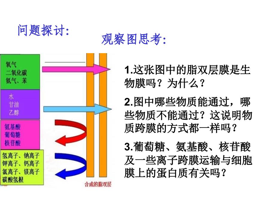 物质跨膜运输的方式ppt35人教课标版课件_第4页