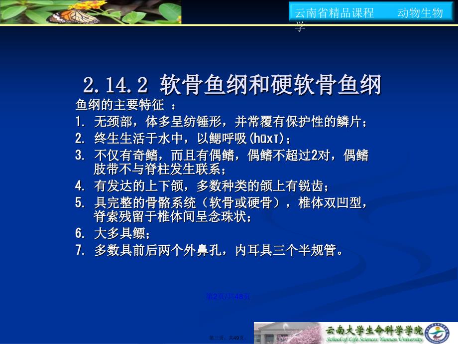 动物生物学学习教案_第3页