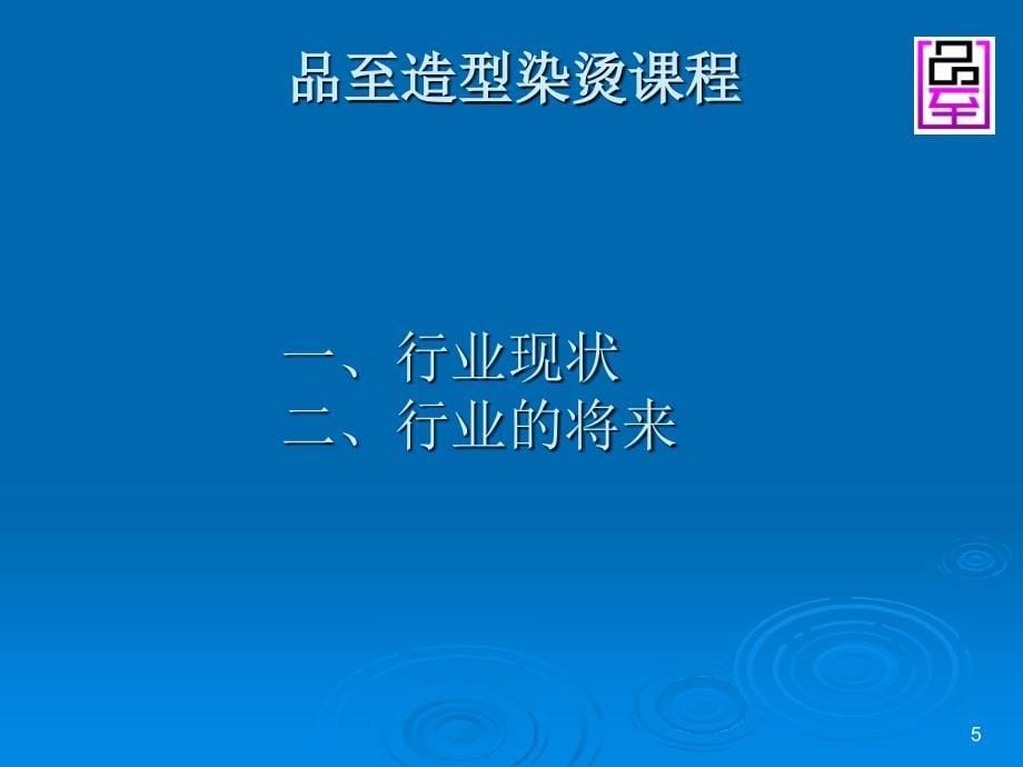 烫染培训系统ppt课件_第5页