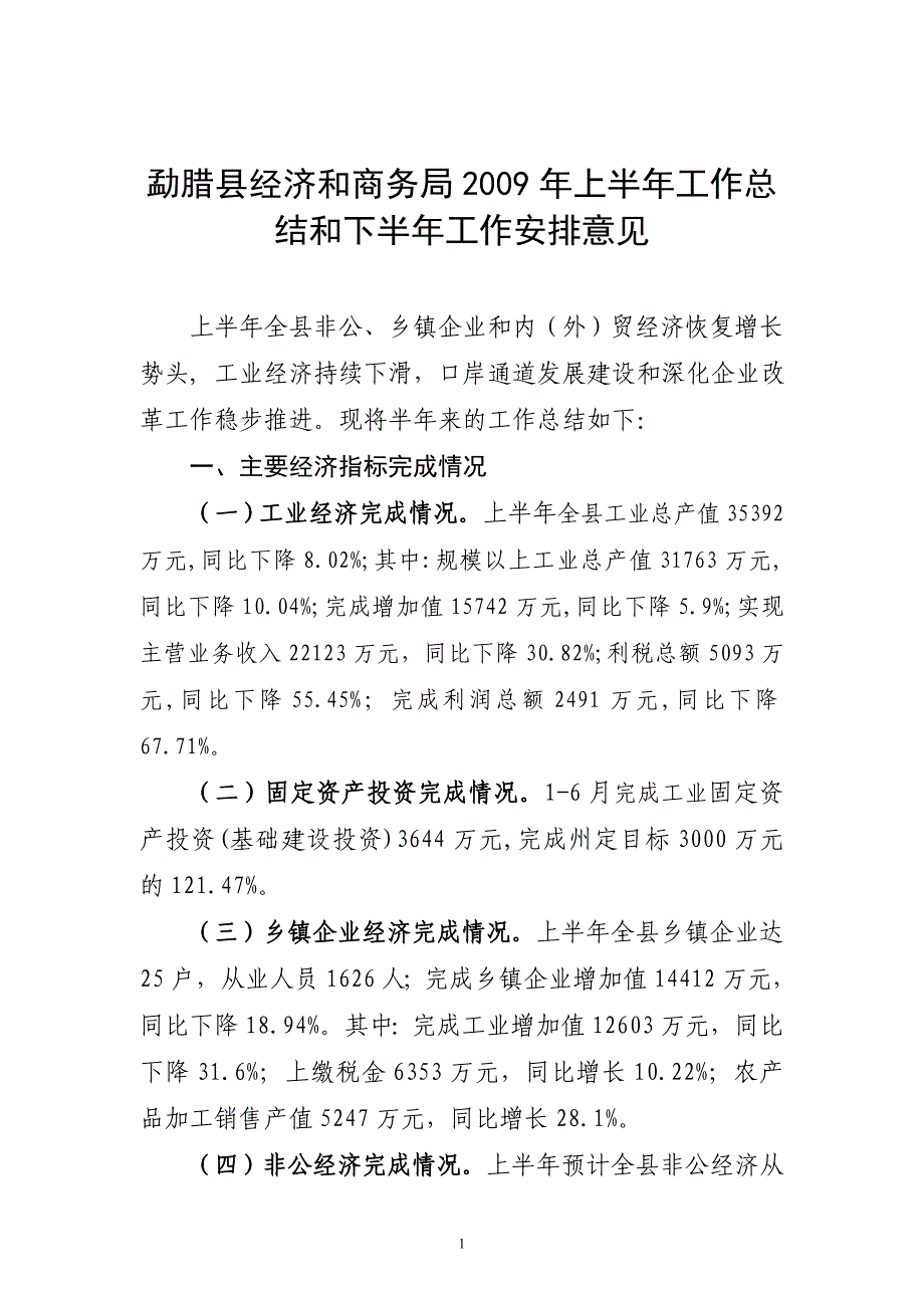 勐腊经济和商务年上半年工作总结和下半年工作..._第1页