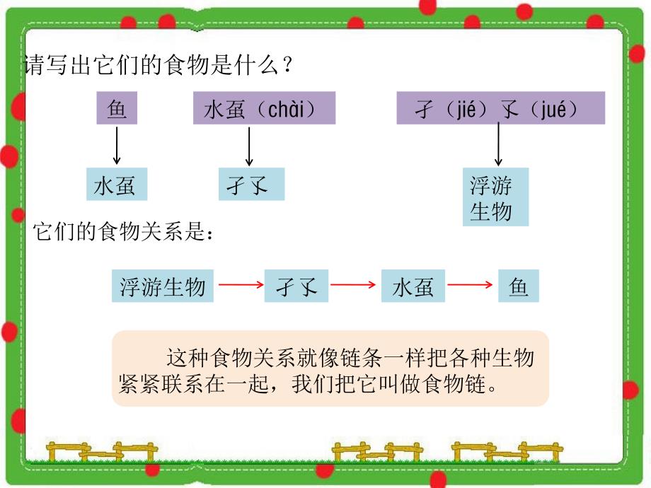 湘教版科学六上1.3走进池塘课件1_第3页