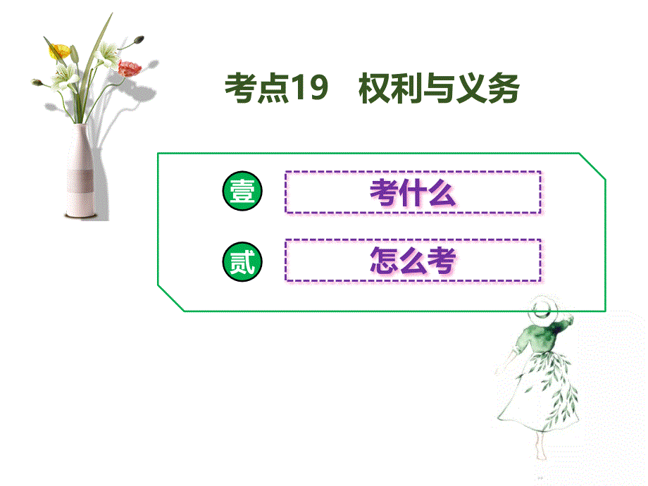 中考道德与法治总复习专题大提升-(29)课件_第1页