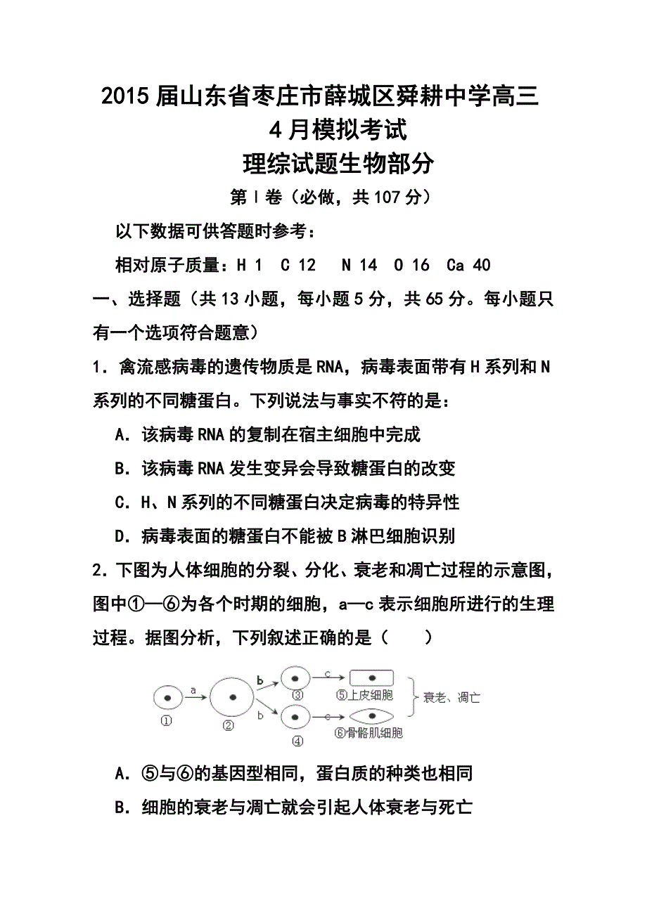 山东省枣庄市薛城区舜耕中学高三4月模拟考试生物试题及答案_第1页