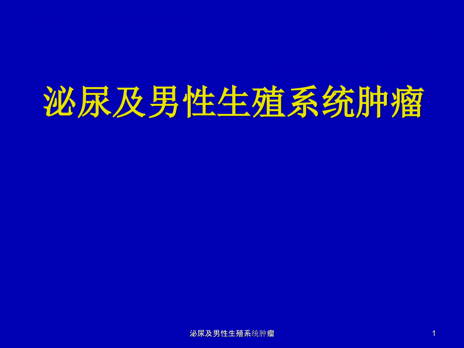 泌尿及男性生殖系统肿瘤课件_第1页