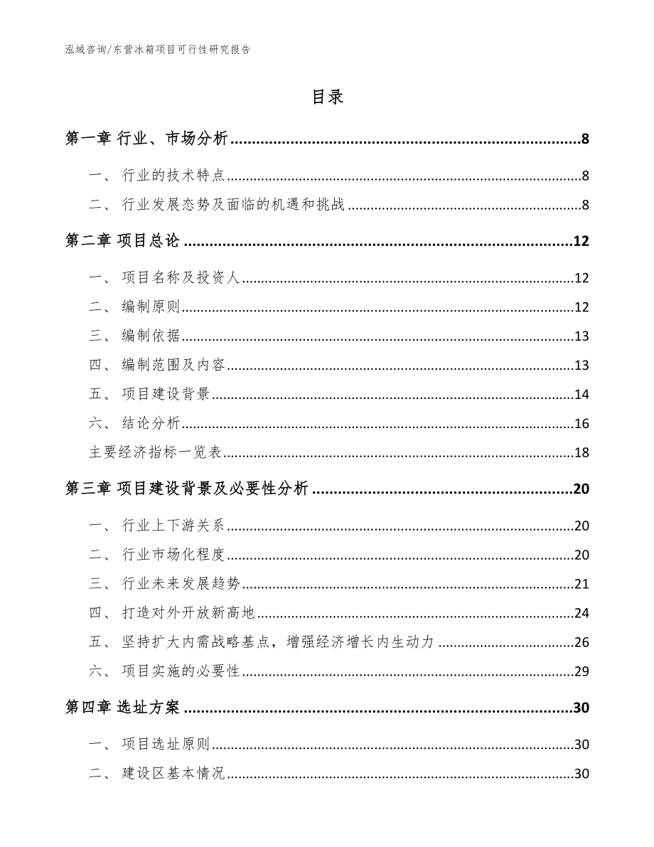 东营冰箱项目可行性研究报告【范文模板】_第2页