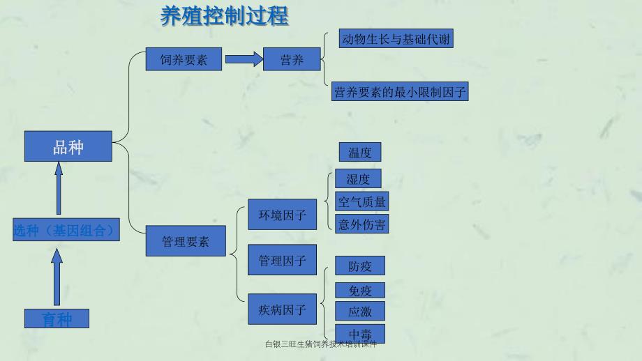 白银三旺生猪饲养技术培训课件_第3页