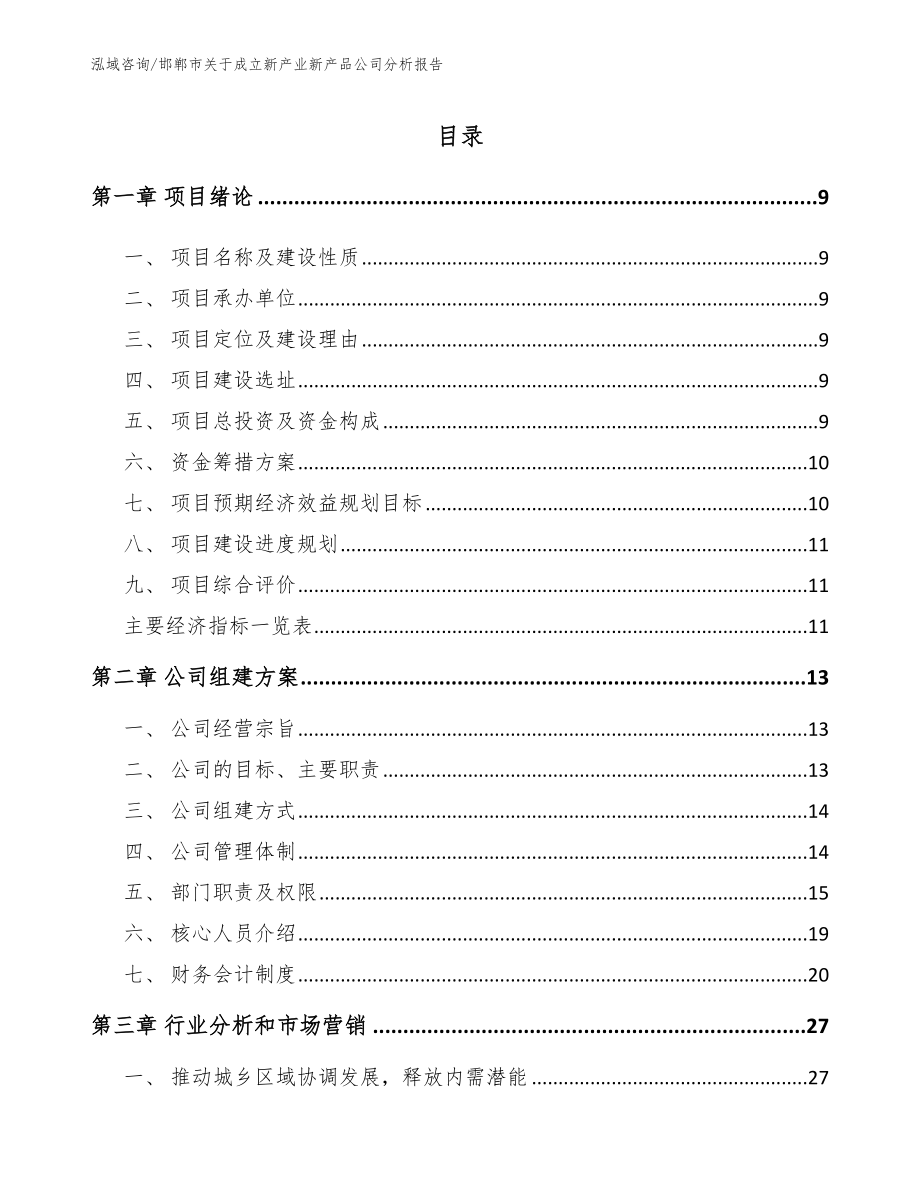 邯郸市关于成立新产业新产品公司分析报告模板范文_第1页