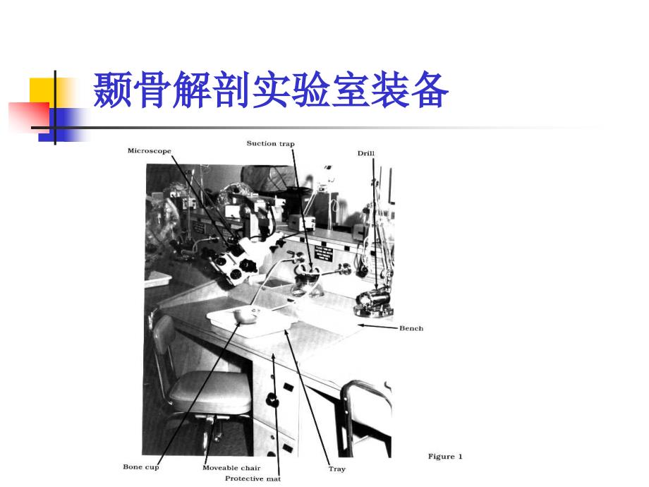 颞骨外科解剖_第3页