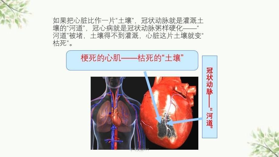 冠心病的护理宣教医学课件_第5页