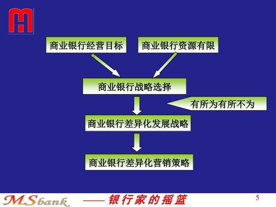 11市场细分与差异化营销_第5页