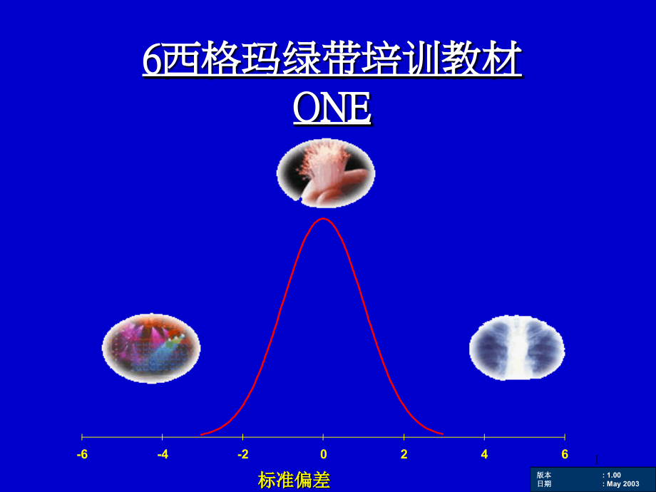 什么是六西格玛_第1页