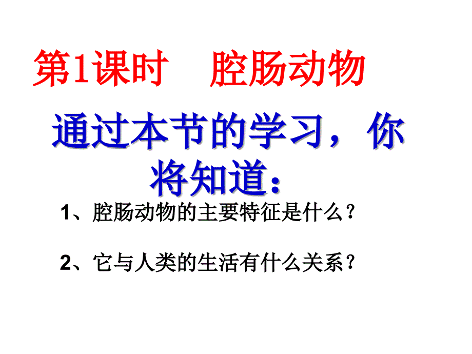 第一节腔肠动物和扁形动物2课时精品教育_第2页