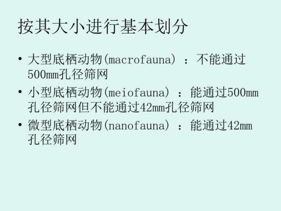 最新底栖动物概述PPT课件_第5页