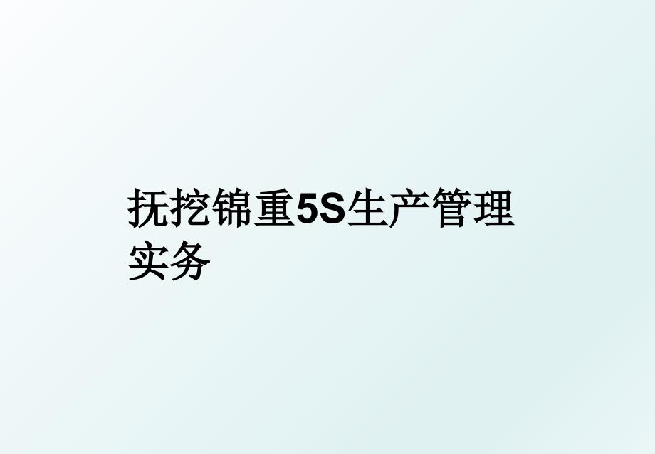 抚挖锦重5s生产实务_第1页