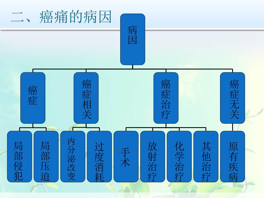 癌痛病人的规范化护理课件_第4页