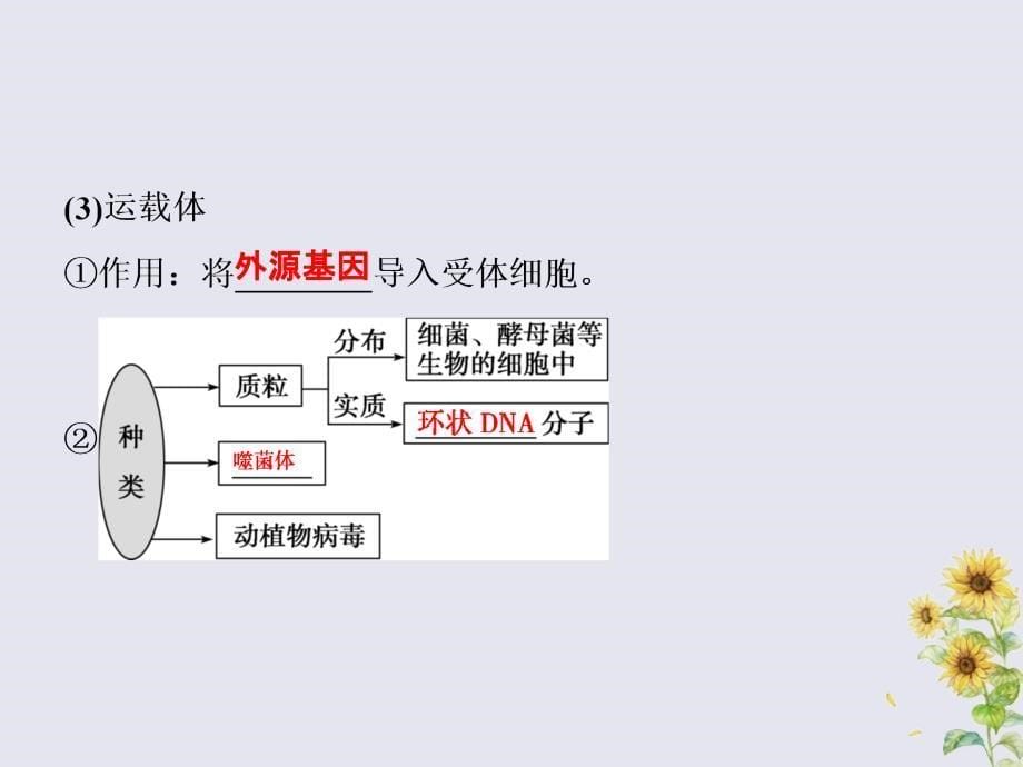 20222023高中生物第6章从杂交育种到基因工程第2节基因工程及其应用课件新人教版必修_第5页