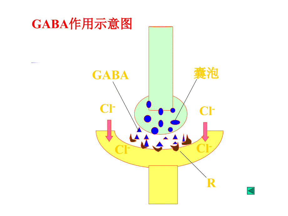 病理生理学课件：肝2_第2页