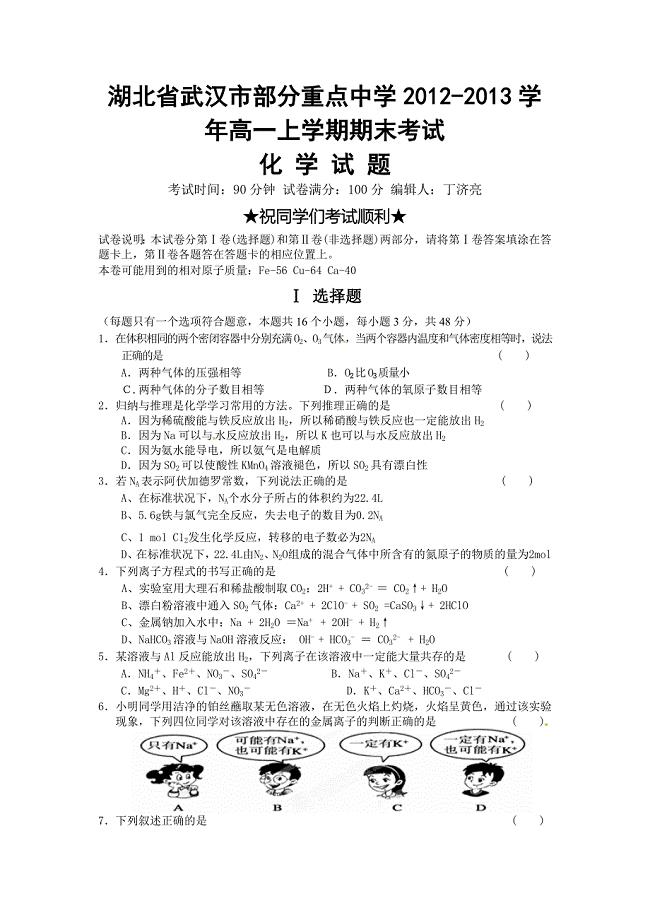 湖北省武汉市部分重点中学2012-2013学年高一上学期期末考试化学试题