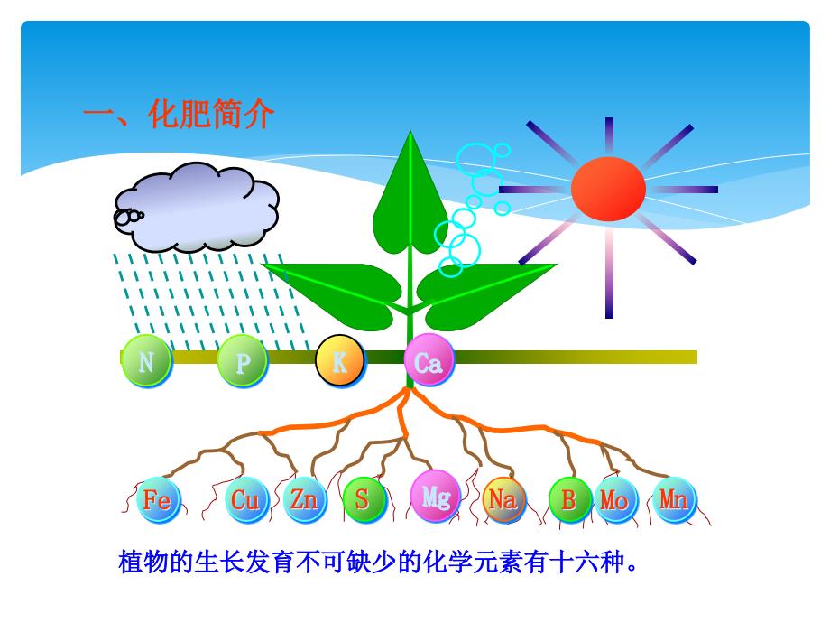 初中化学多媒体教学课化学肥料_第4页