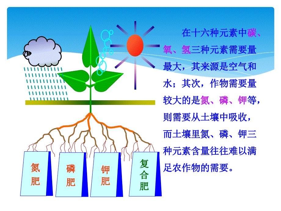 初中化学多媒体教学课化学肥料_第5页