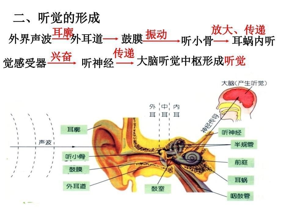 我们听到了声音_第5页