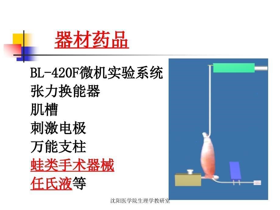 刺激强度、频率对蟾蜍骨骼肌收缩的影响文档资料_第5页