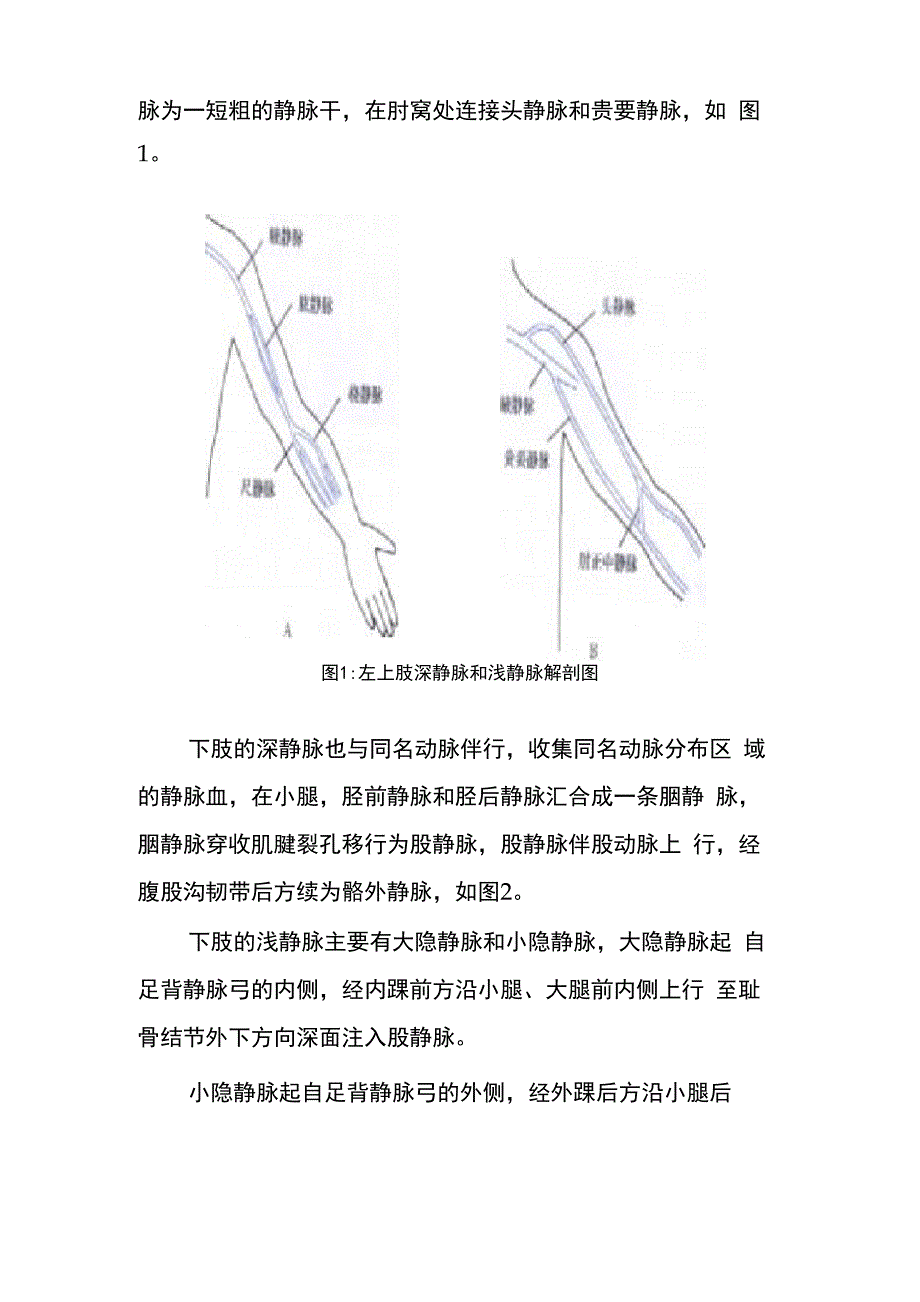 四肢静脉解剖和超声检查指南_第2页