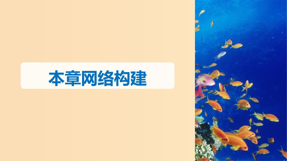 2018-2019版高中生物第4章生物与环境的协调发展章末整合课件北师大版必修3 .ppt_第3页