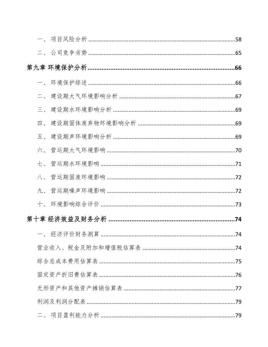 关于成立硅胶管公司可行性报告(DOC 81页)_第5页