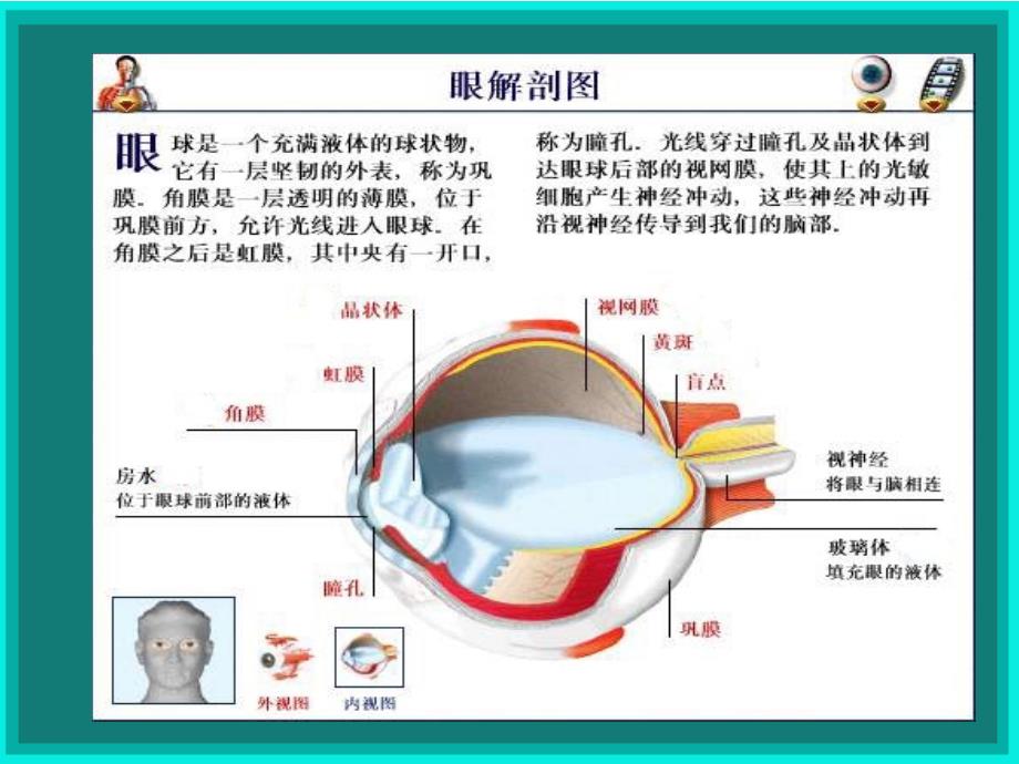 变性的病因及干预1_第3页