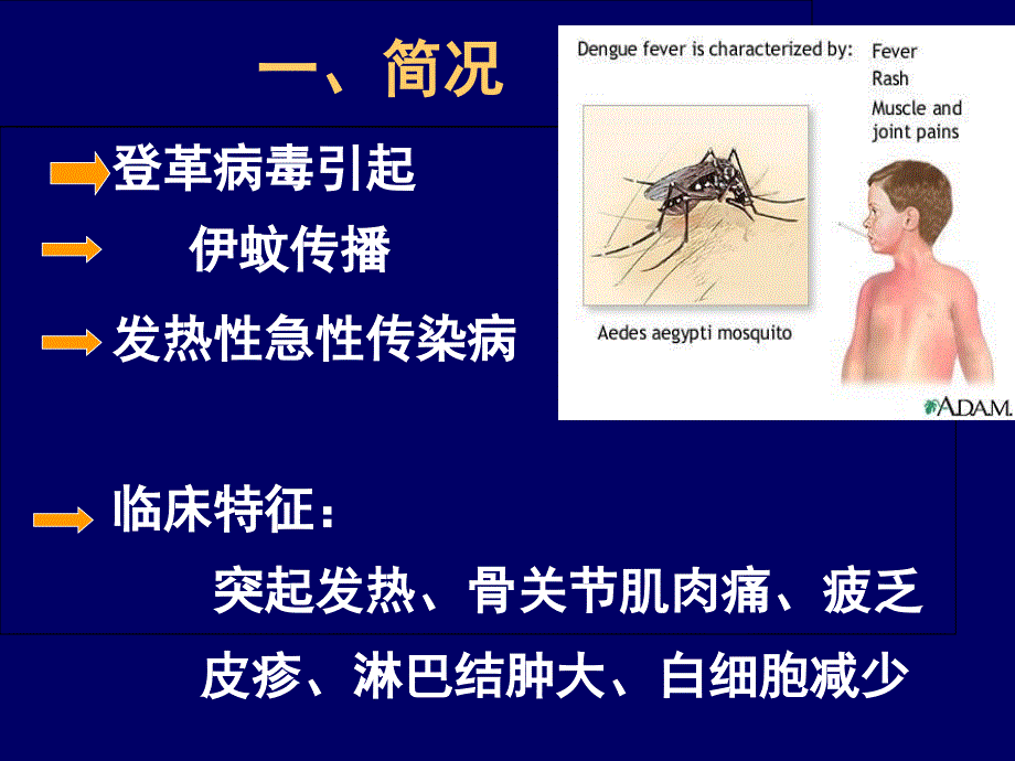 预防登革热PPT课件_第2页