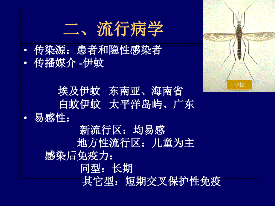 预防登革热PPT课件_第4页