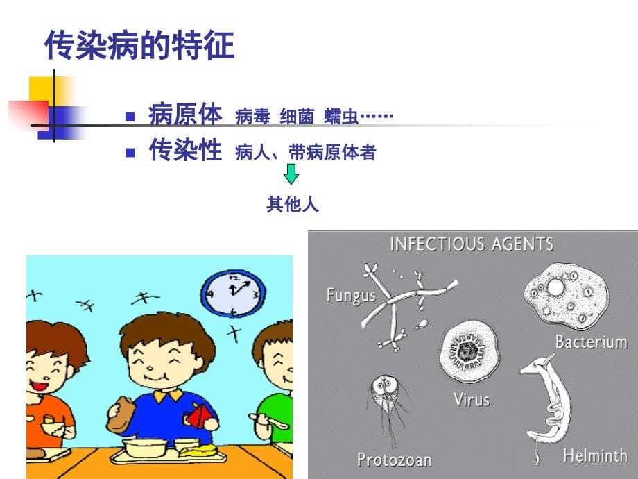 流感的预防与控制PPT课件_第5页