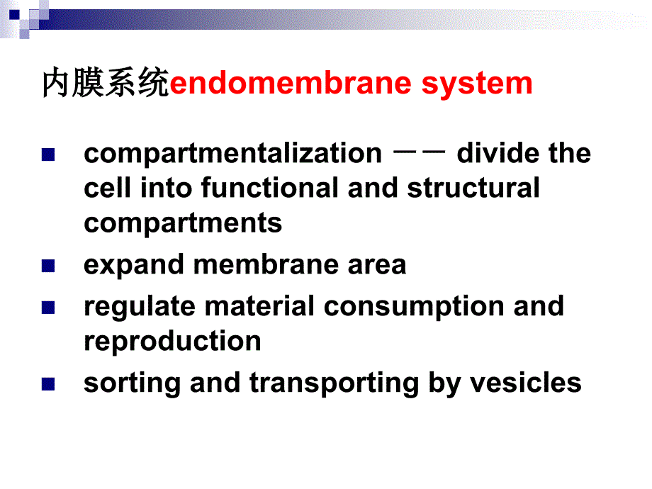 细胞基本结构2_第4页