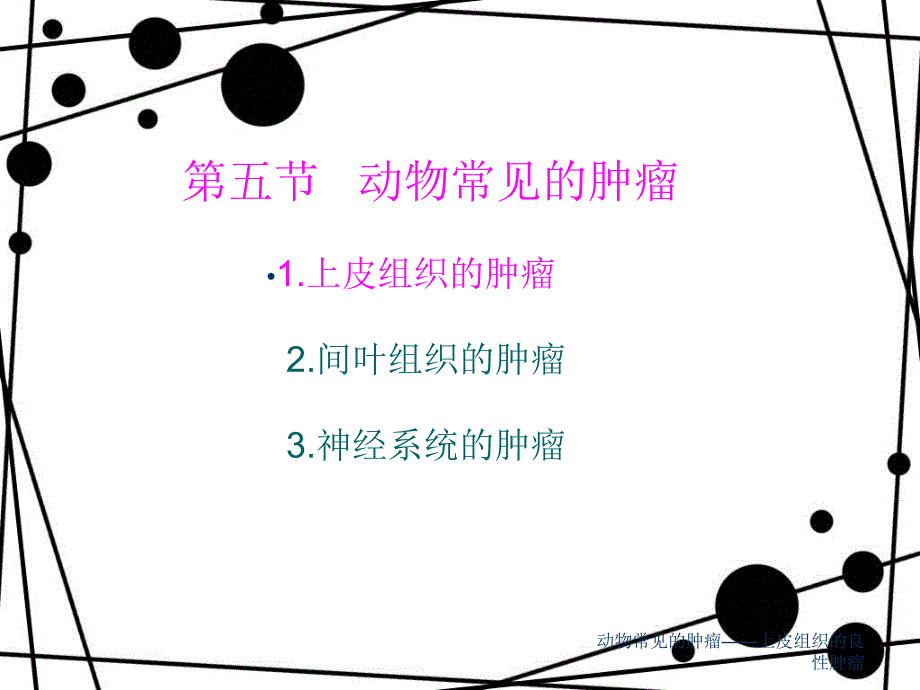 动物常见的肿瘤上皮组织的良性肿瘤课件_第1页