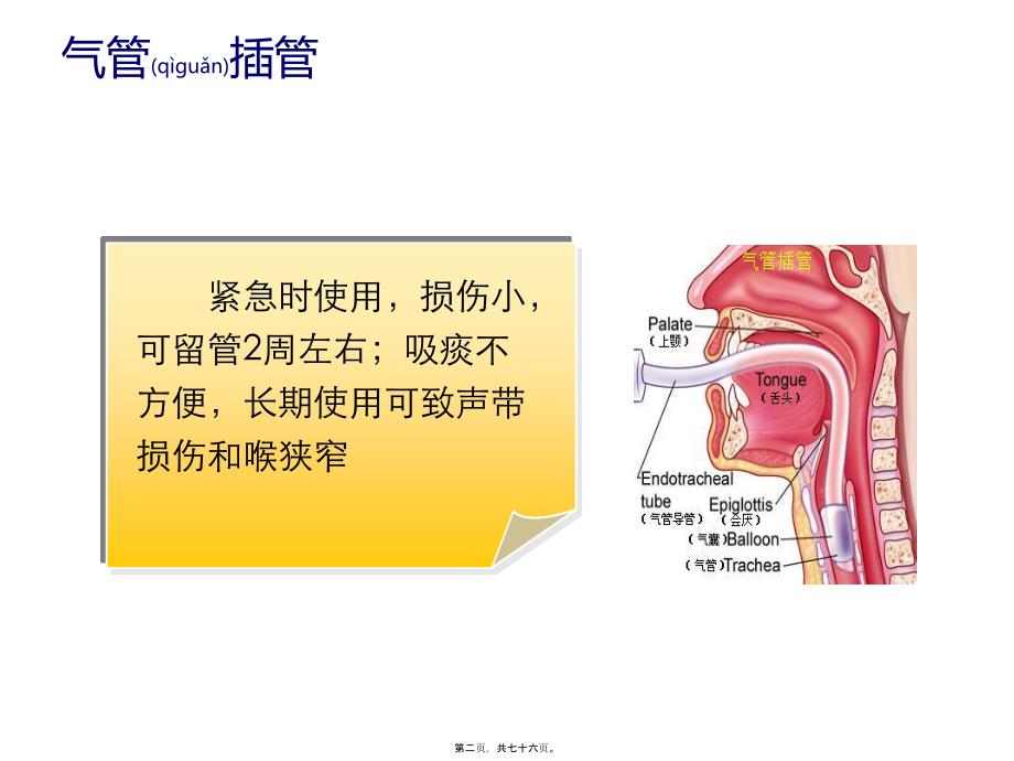 气管插管和气道湿化课件_第2页