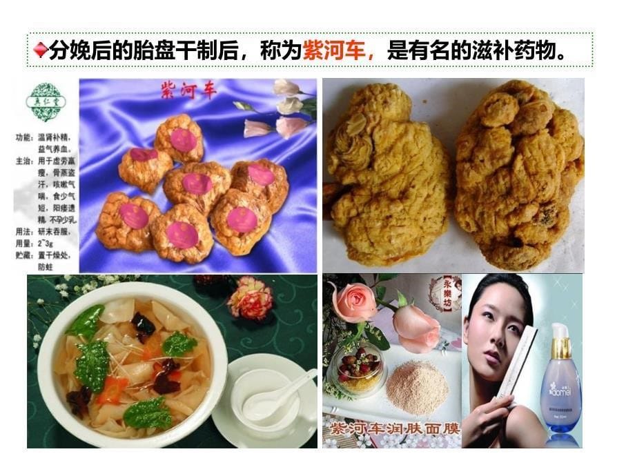 胎儿血液循环与先心_第5页