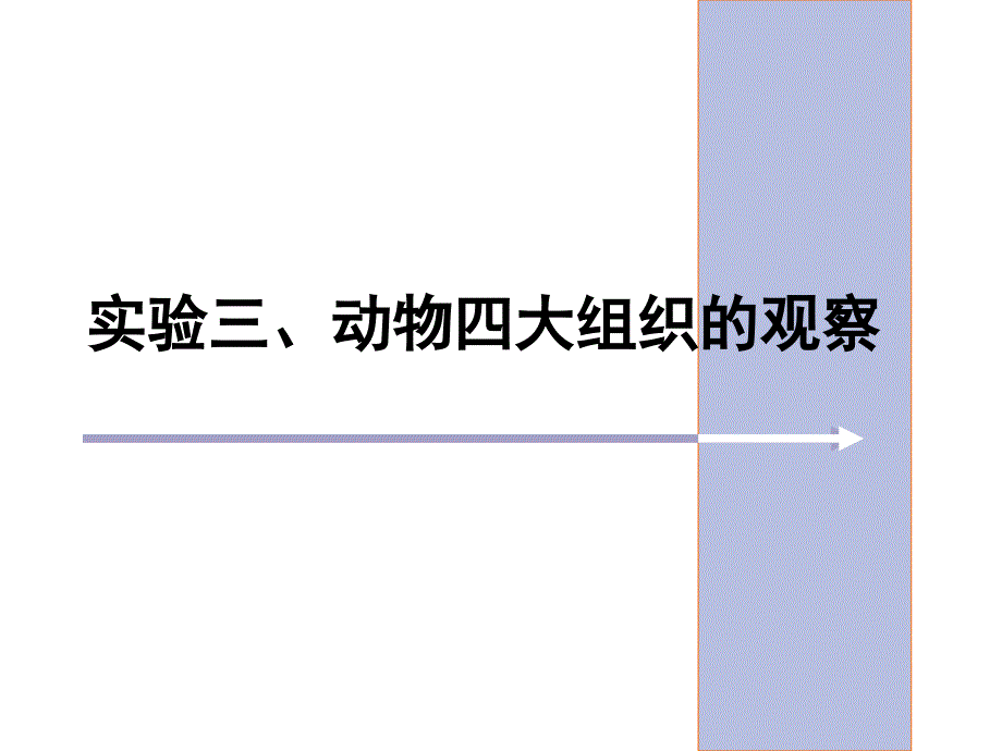 3动物的四大组织的观察_第1页