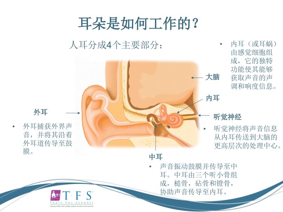 CIEP讲稿人工耳蜗知识入门_第3页